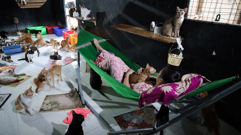 ⓒ Zing News ⓒ Zing News